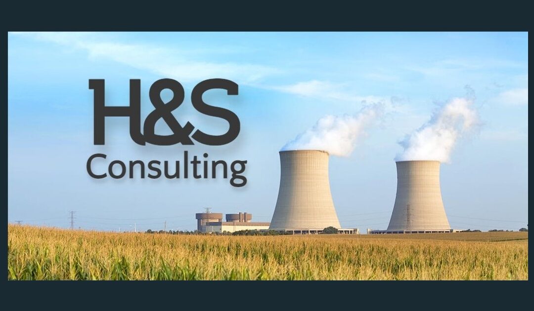H&S Consulting