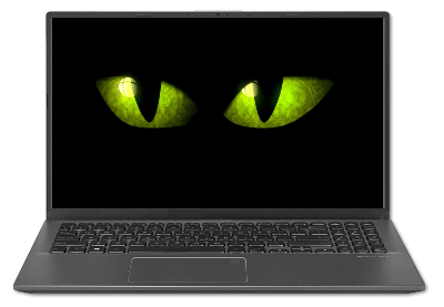 Spooky eyes on a laptop screen