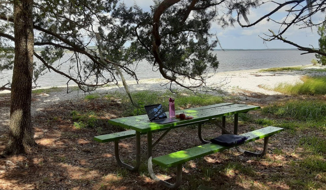 Picnic table at Guana