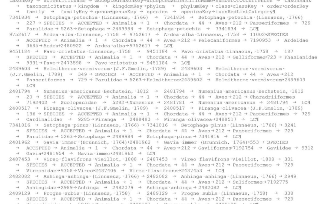 Tame big data with Excel