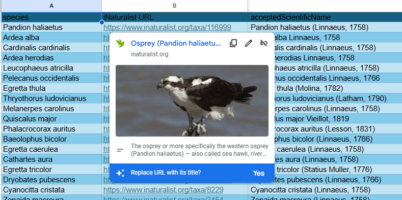 Displaying photos from URL