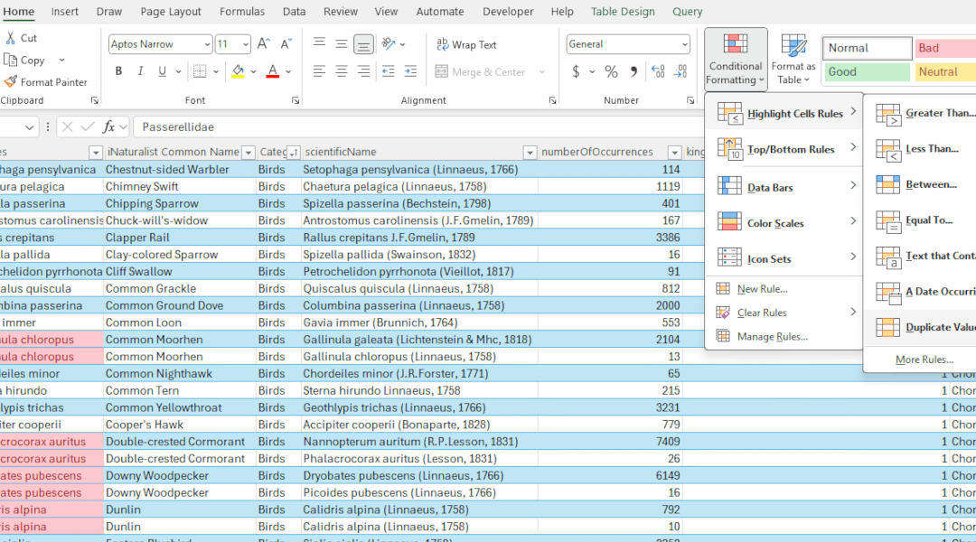 Find duplicates with Excel