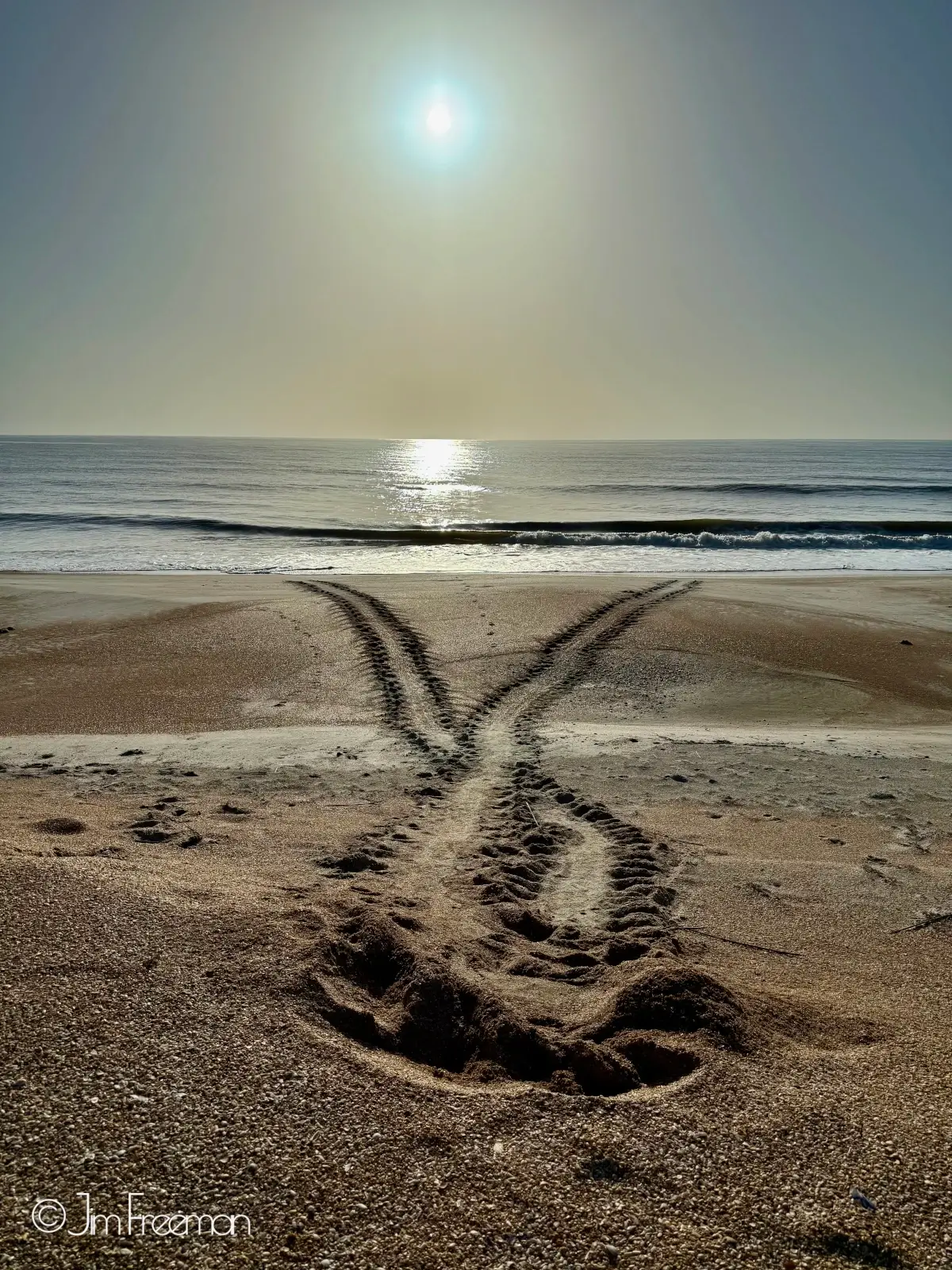 False Crawl at Sunrise © Jim Freeman