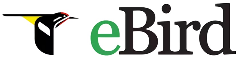 eBird logo