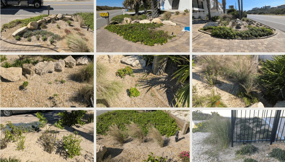 JIO Day 12 remaining conditions